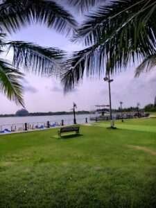 Park Circus Escort Sevice